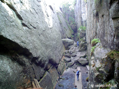 Skalne Labirynty w Górach Sto³owych